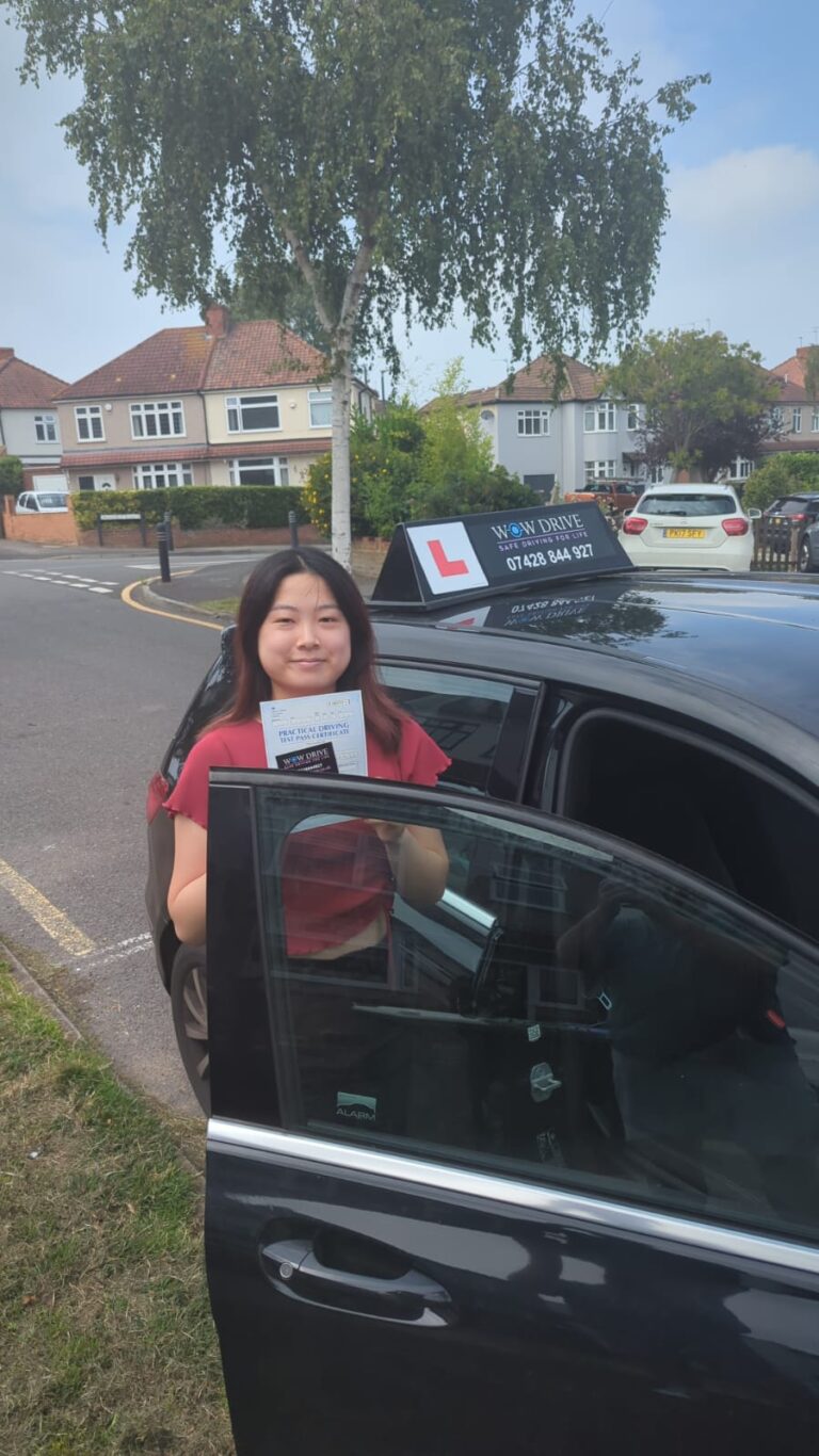 Driving test pass - Driving Lessons in Debden 