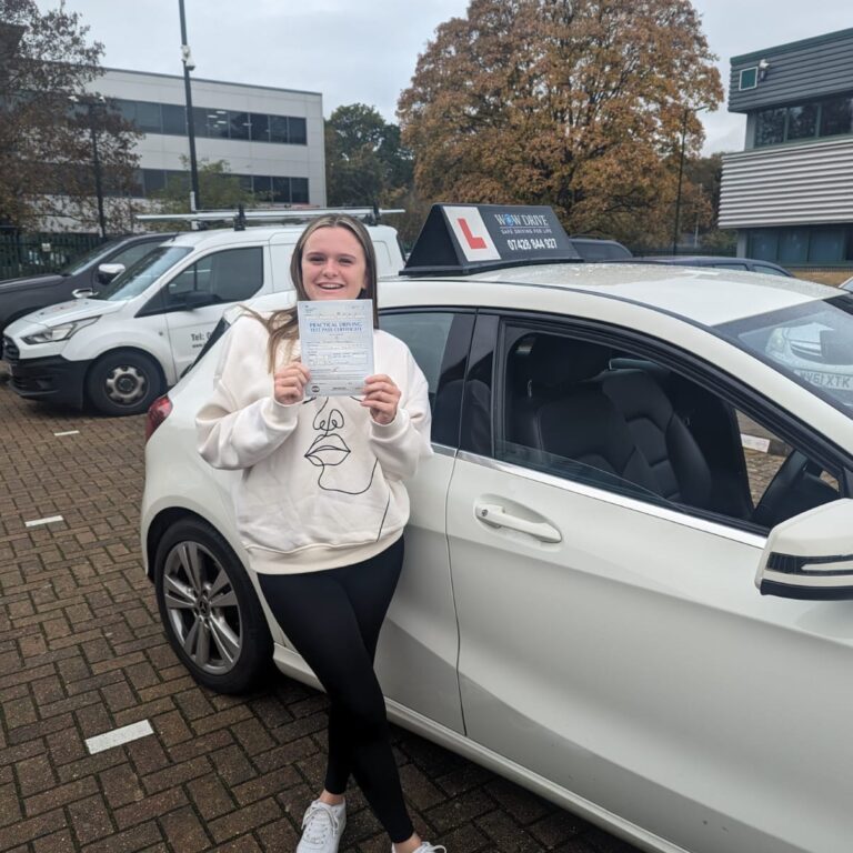 Pass my driving test