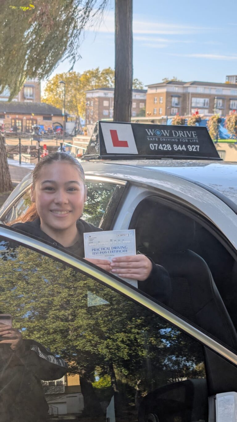 driving test pass